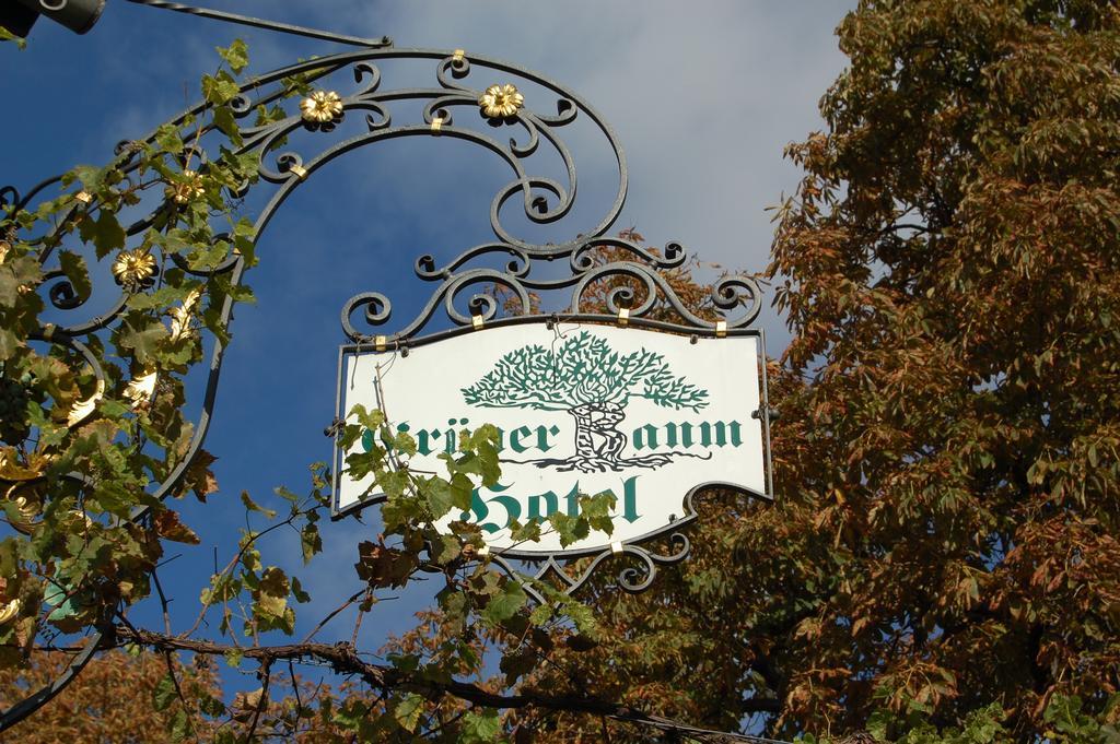 Hotel Gruener Baum Bretzenheim Zewnętrze zdjęcie